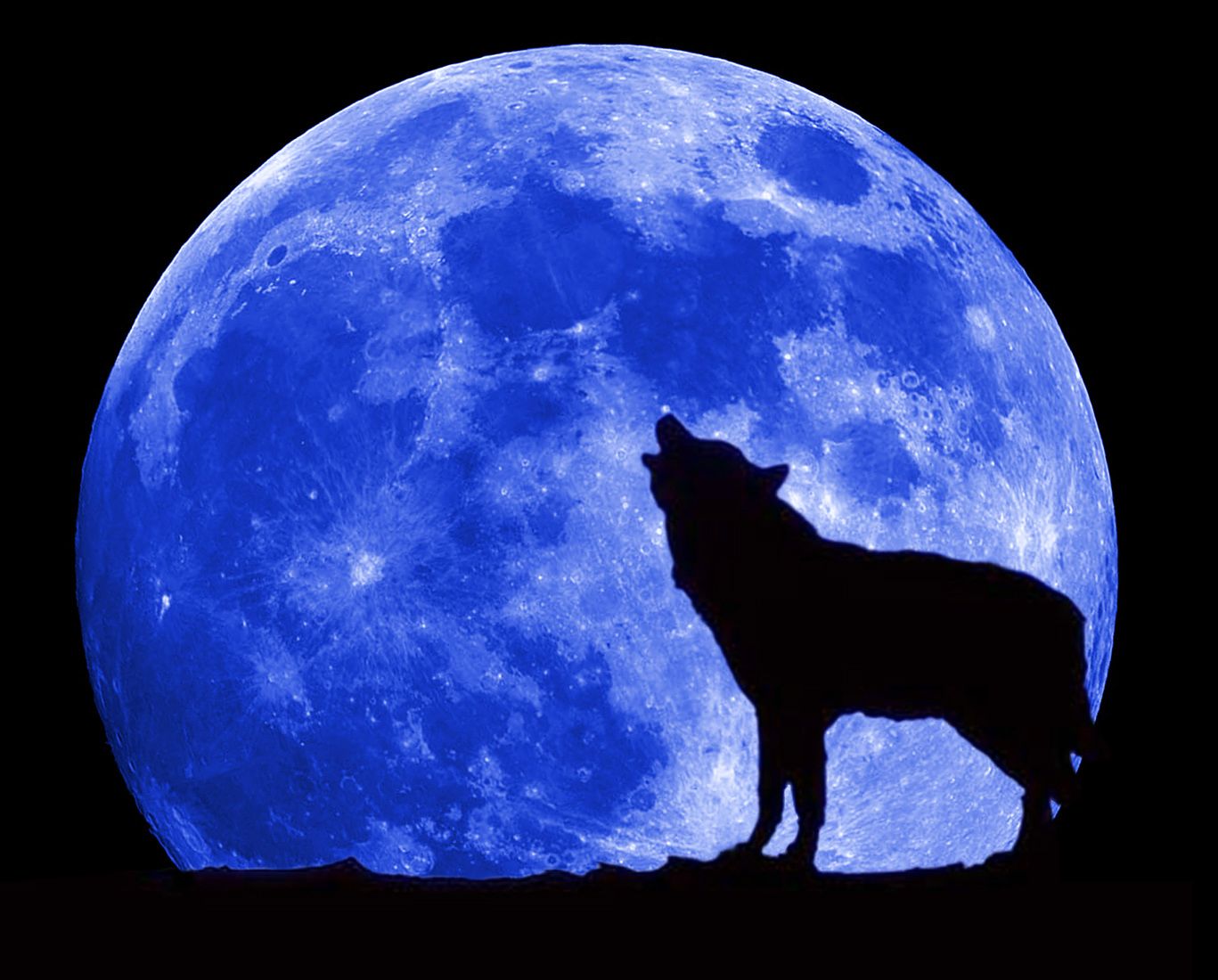 Mond Wolf1