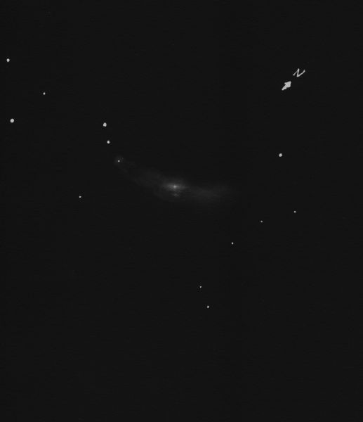 NGC 2146neg