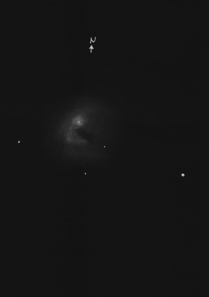 NGC 7023neg
