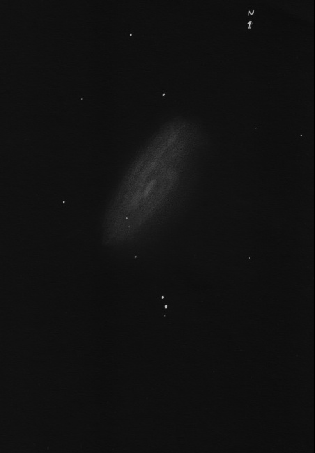 M88neg