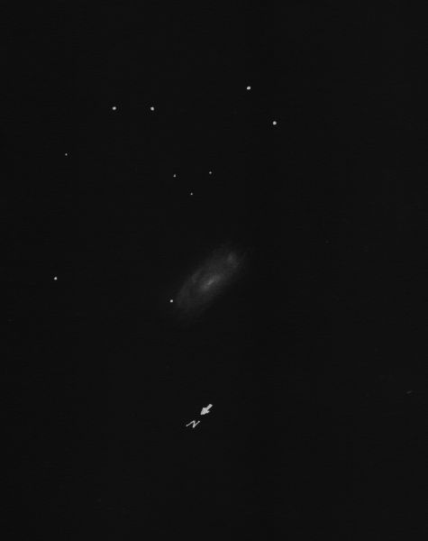 NGC 5033neg Kopie